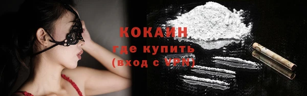 прущие грибы Богородск