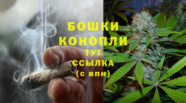 тгк Верея
