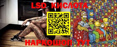 индика Анжеро-Судженск
