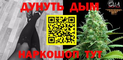 индика Анжеро-Судженск
