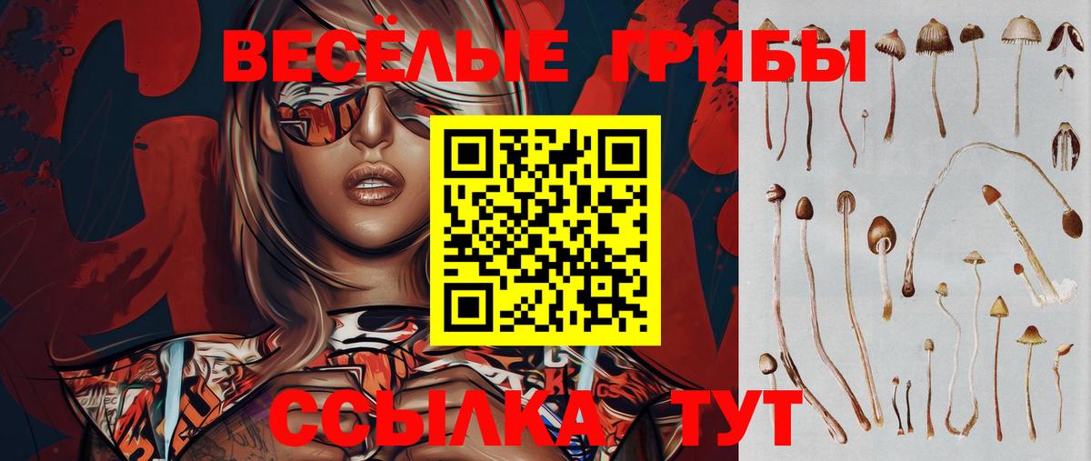 Псилоцибиновые грибы Psilocybe  Вход с VPN  Северск  Псилоцибиновые грибы Psilocybe 