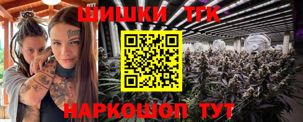 Канабис сатива Северск